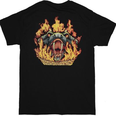 https://besteesrock.com/shop_imgs/products/prew_4255_Pantera_Born_Again_With_Snake_Eyes_2.jpg