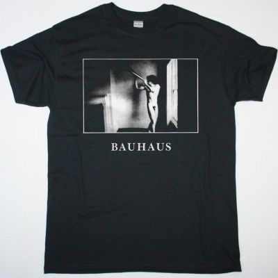 https://besteesrock.com/shop_imgs/products/prew_BAUHAUS_IN_THE_FLAT_FIELD.jpg