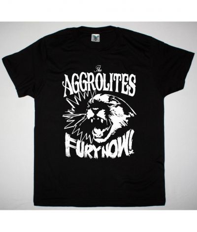 https://besteesrock.com/shop_imgs/products/the_aggrolites_fury_now_new_black_tshirt.jpg