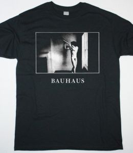 https://besteesrock.com/shop_imgs/products/thumb_BAUHAUS_IN_THE_FLAT_FIELD.jpg
